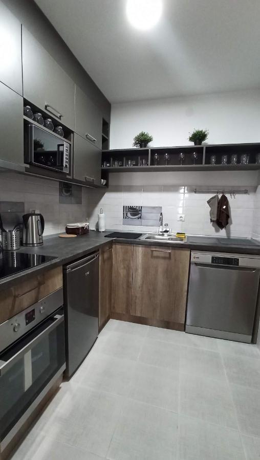 Luxury Apartments Parking In Garage Nis Bagian luar foto