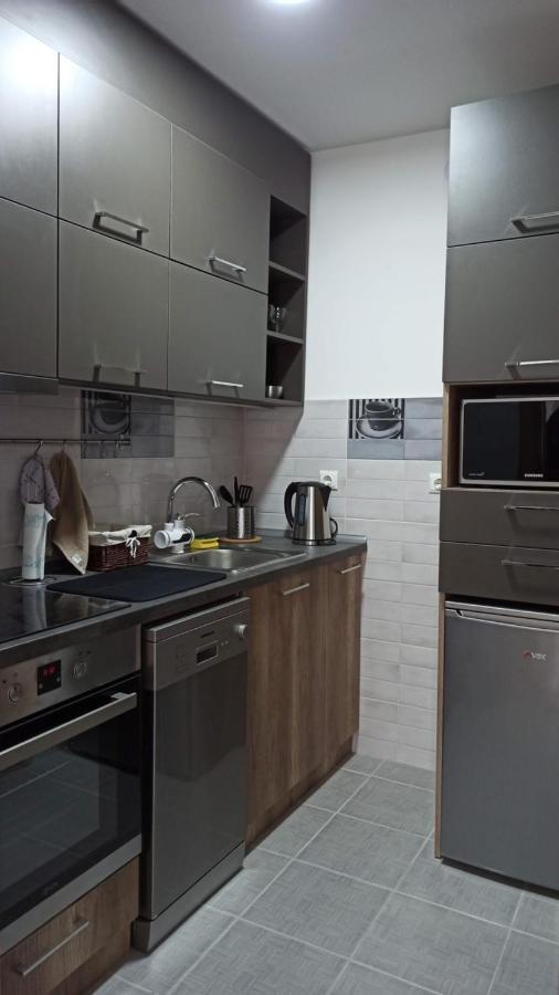 Luxury Apartments Parking In Garage Nis Bagian luar foto